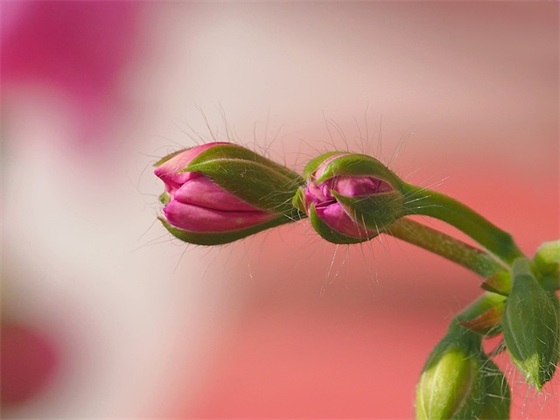 中考100天寄语或鼓励的话-56句