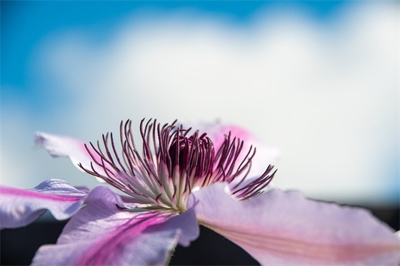 爸爸妈妈的希望寄语中班-34句