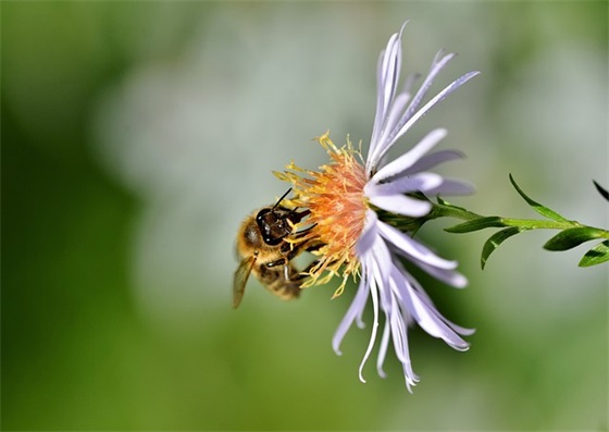 再接再励鼓励的寄语-51句