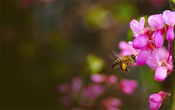 幼儿园老师对孩子的成长寄语简短-38句