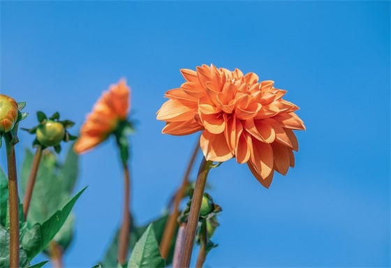 送给高中孩子的寄语-44句