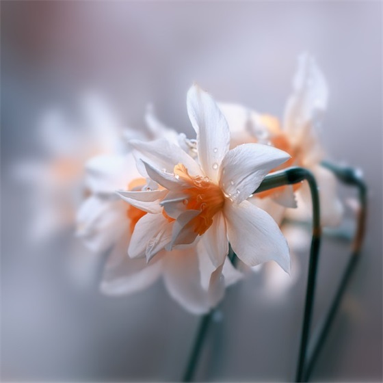 初三学生寄语简短有力-54句