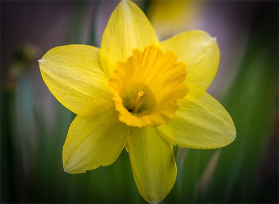 高三考生寄语鼓励-51句