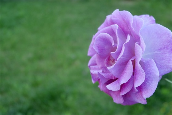 老师给初中生的毕业寄语和期望-40句