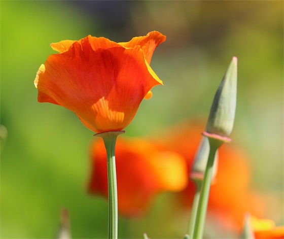 中考老师寄语鼓励-51句