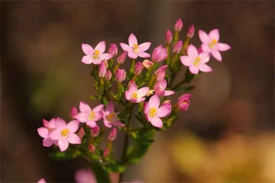 一年级学生寄语一句话-34句