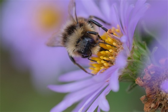 鼓励自己的寄语-51句