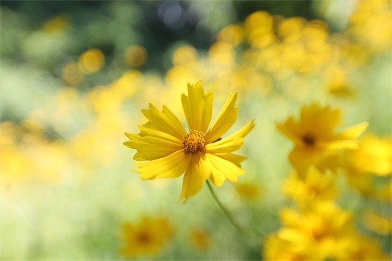 给升高三学生的励志寄语-55句