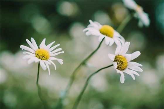 中考家长对孩子的寄语怎么写-36句