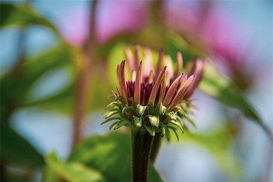 毕业时老师对学生的寄语-38句