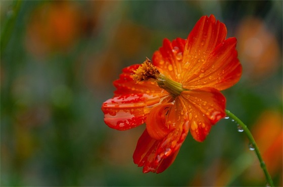 给孩子的短小寄语 唯美-42句