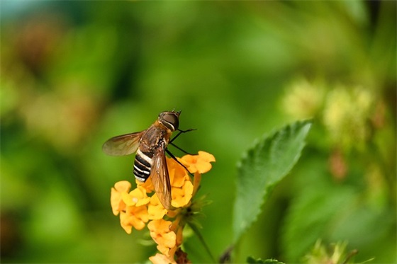 给励志少年的寄语-51句