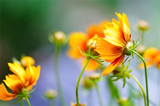 两字网名男生古风