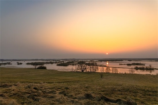 表达爱意的暖心句子