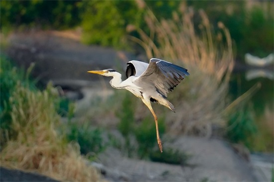 关于做人道理的句子