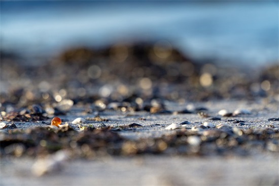 青春励志的短句子摘抄 青春励志的句子100字