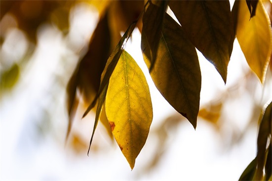 2025年人生苦难励志句子