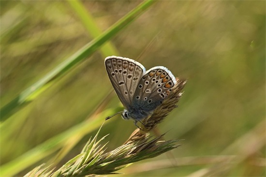 初恋这件小事 把初恋藏在心里的句子
