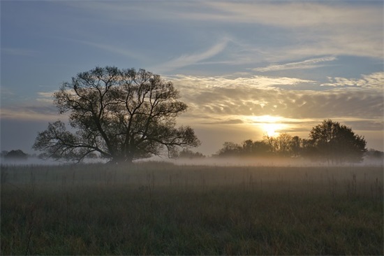 给六年级学生的寄语-22句