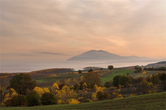表白爱情句子大全