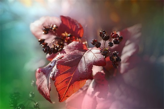 家长表达对老师的不舍