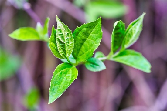 有实力又低调的网名(精选146个)