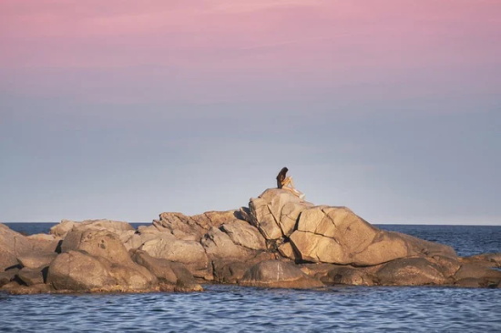 抖音现实又很扎心的句子