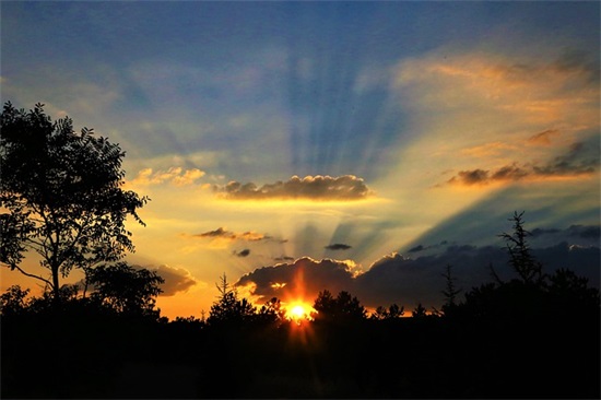 应用文写作学期总结