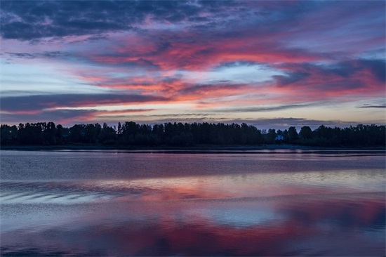 证明的格式及范文（精选10篇）
