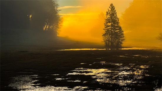 大学班级宣言口号大全85句