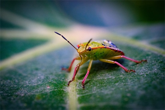 科技宣传口号83句