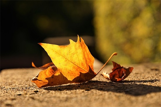 高中励志班级口号84句