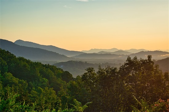 送给单身男祝福语92句
