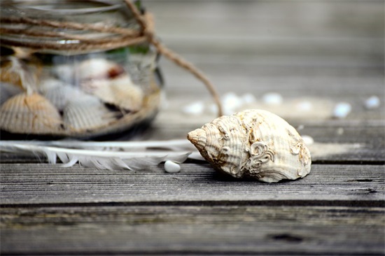 情人节信息祝福语103句