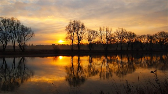 qq空间猴年祝福语