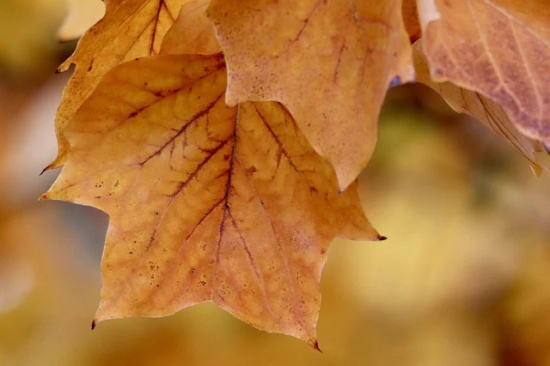 发红包祝福语幽默句子通用(29句)