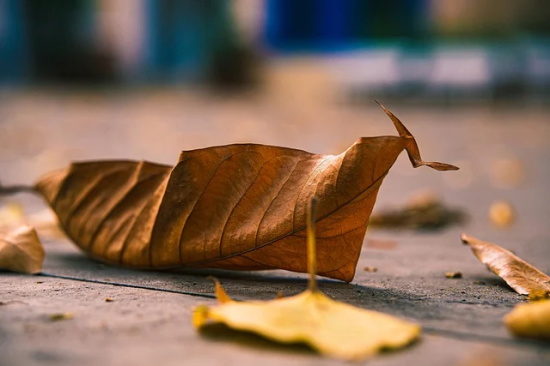 除夕夜祝福语微信文案