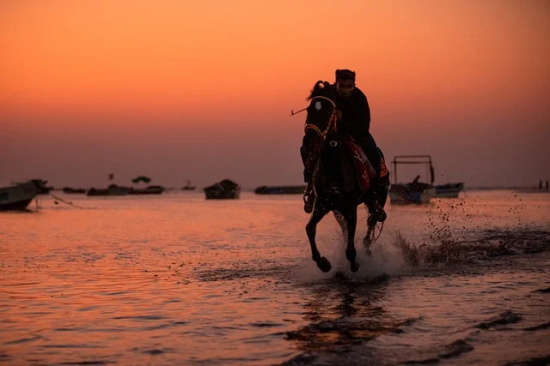 关于2026虎年春节辞旧迎新祝福语(精选120句)