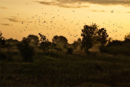 2025年春节合家团聚祝福语(2025年给家人的祝福语)