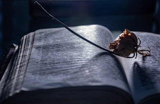 教师节祝福语简短优美句子寄语（精选推荐）