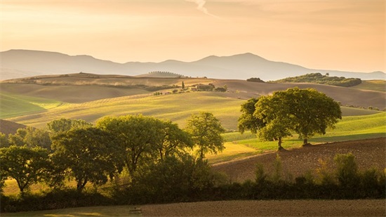 情人节巧克力祝福语