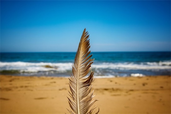 2026祝福祖国国庆节快乐文案（精选推荐）