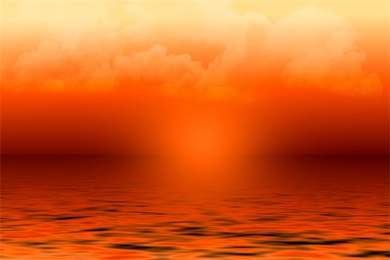 带茅台的网名女生