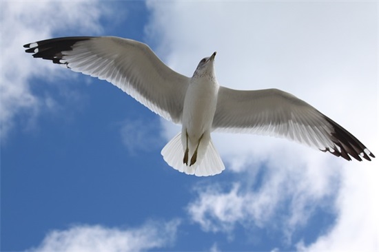 三八妇女节爆笑短信80句