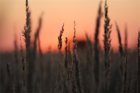 早安短信大全80句