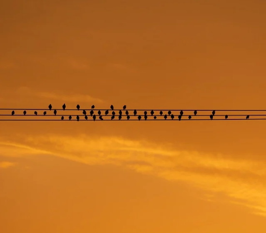 感谢领导短信82句