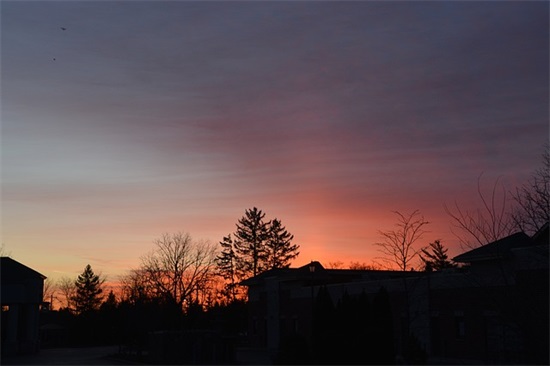 愚人节搞笑手机短信82句