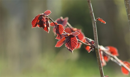 心里空空的忧伤句子