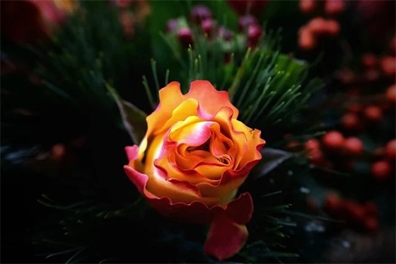 老爸生日聚会的祝福语