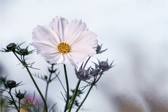 男生励志拼搏奋斗的网名